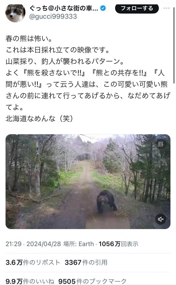 【動画】北海道のクマさん、突然現れ暴れまくる。こんなのに出会ったら終わりだろ……